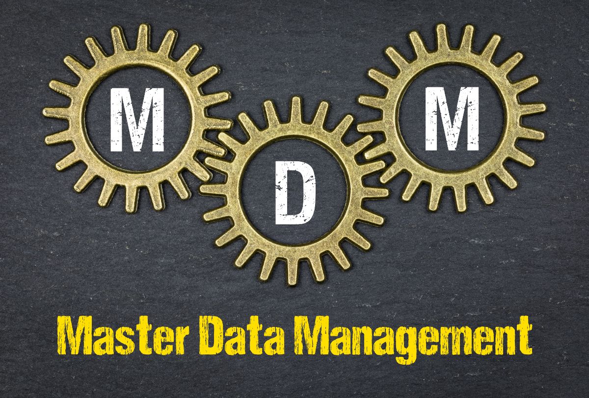 Master Data Management Explanation Examples Benefits